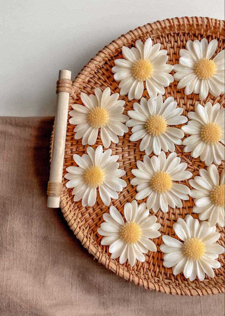 Nến Daisy Cúc Họa Mi