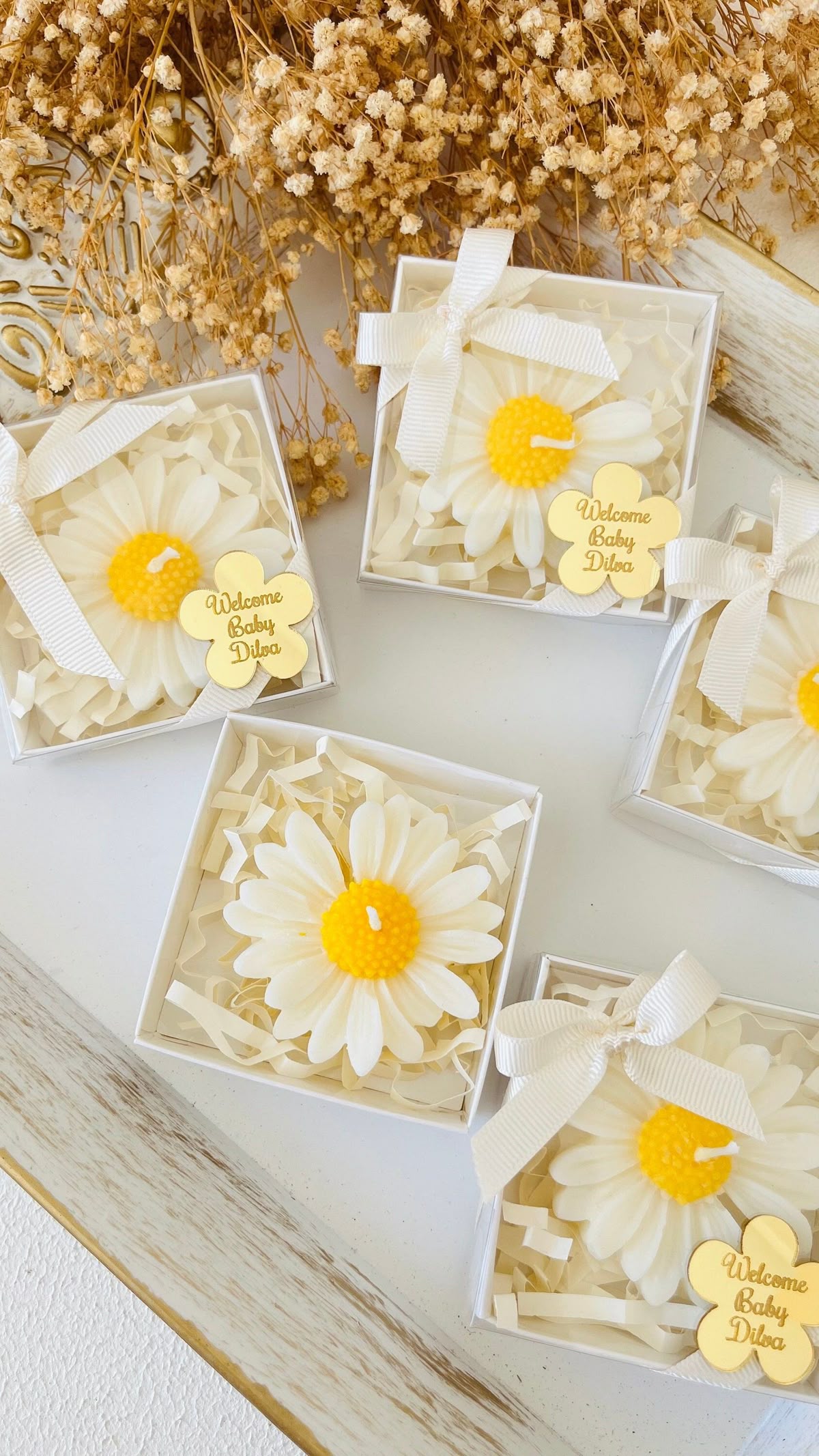 Nến Daisy Cúc Họa Mi