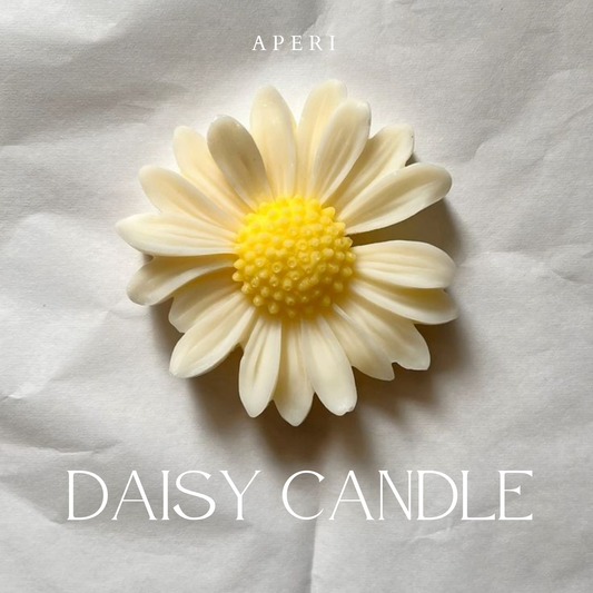 Nến Daisy Cúc Họa Mi